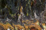 Polished Tiger Iron Stromatolite - ( Billion Years) #75821-1